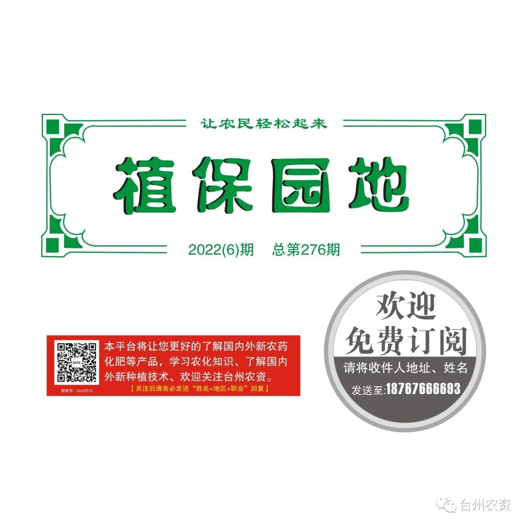 梅雨季節(jié)來臨，柑橘即將穩(wěn)果，注意管理好夏梢，合理施肥打藥